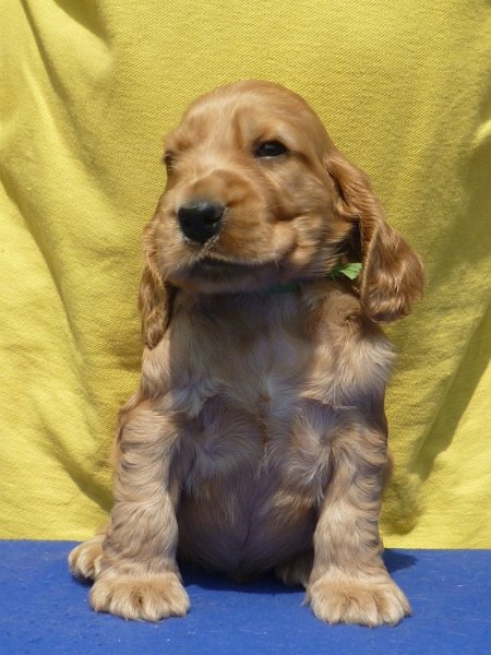 28. Garp pod Ořechem-sv. zelená.JPG